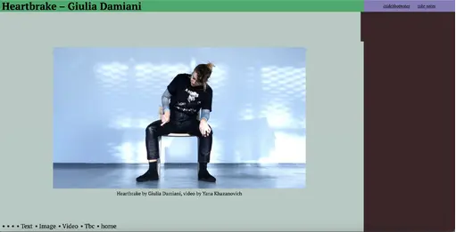 Screenshot from the contribution by Giulia Damiani 